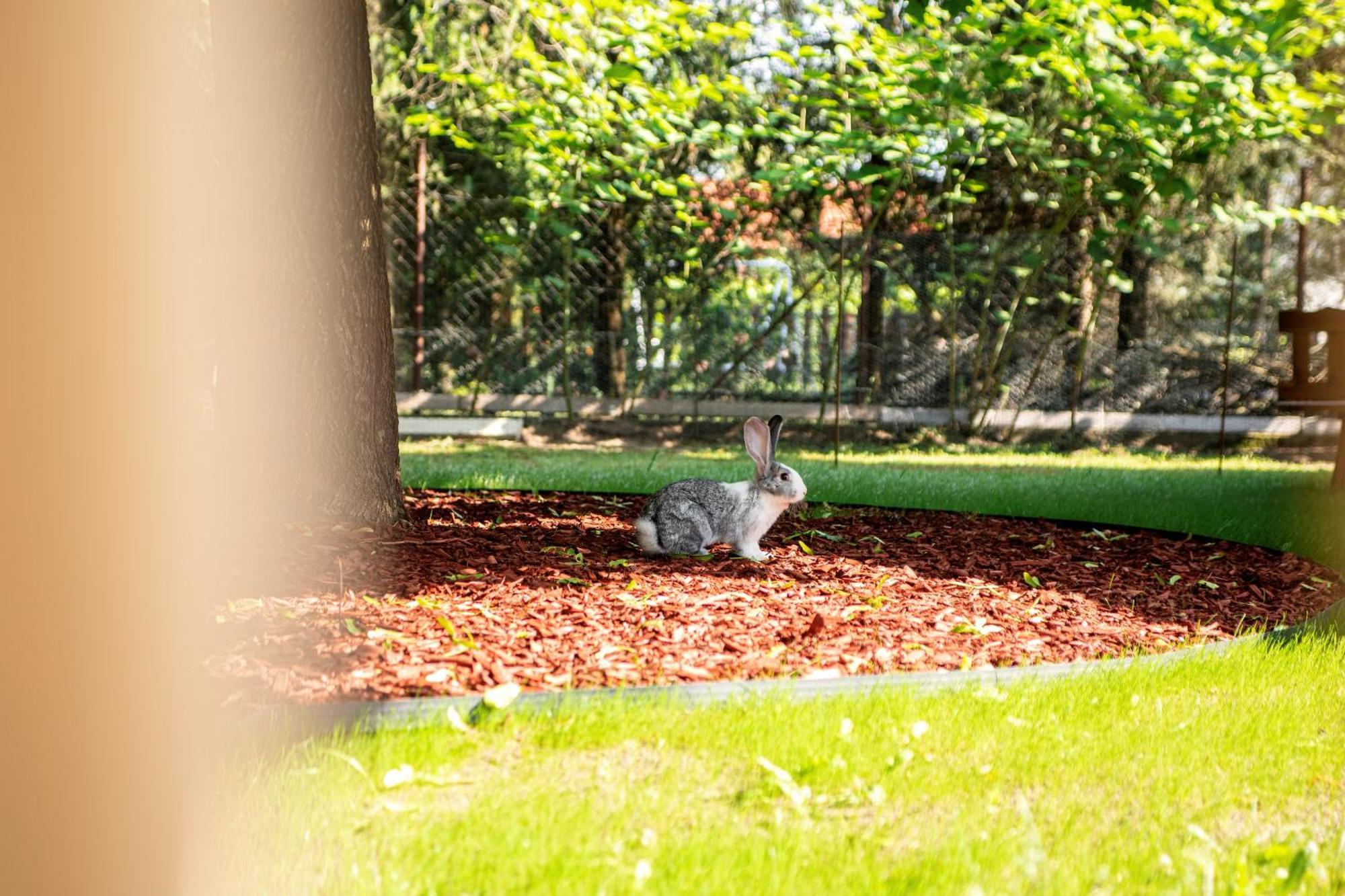 Nyuszis Apartman Kiskunmajsa Buitenkant foto